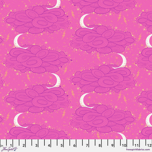 FreeSpirit Fabrics Nightshade by Tula Pink Storm Clouds 208 Oleander