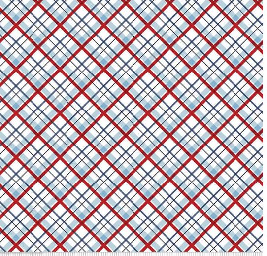 Stars & Stripes Forever plaid binding