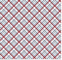 Stars & Stripes Forever plaid binding