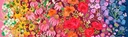 Superbloom ombre