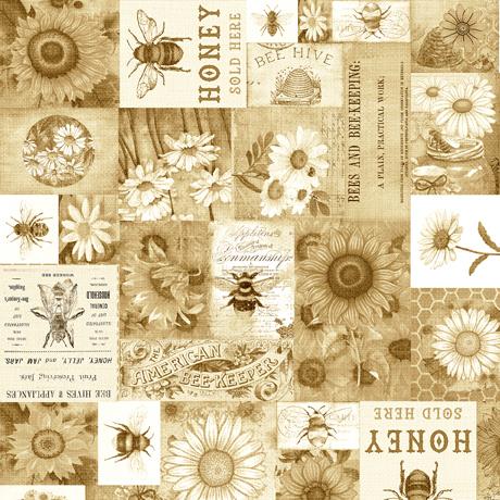 QT Fabrics Sweet as Honey by Dan Morris Bee & Floral Patch 1649 29446 A