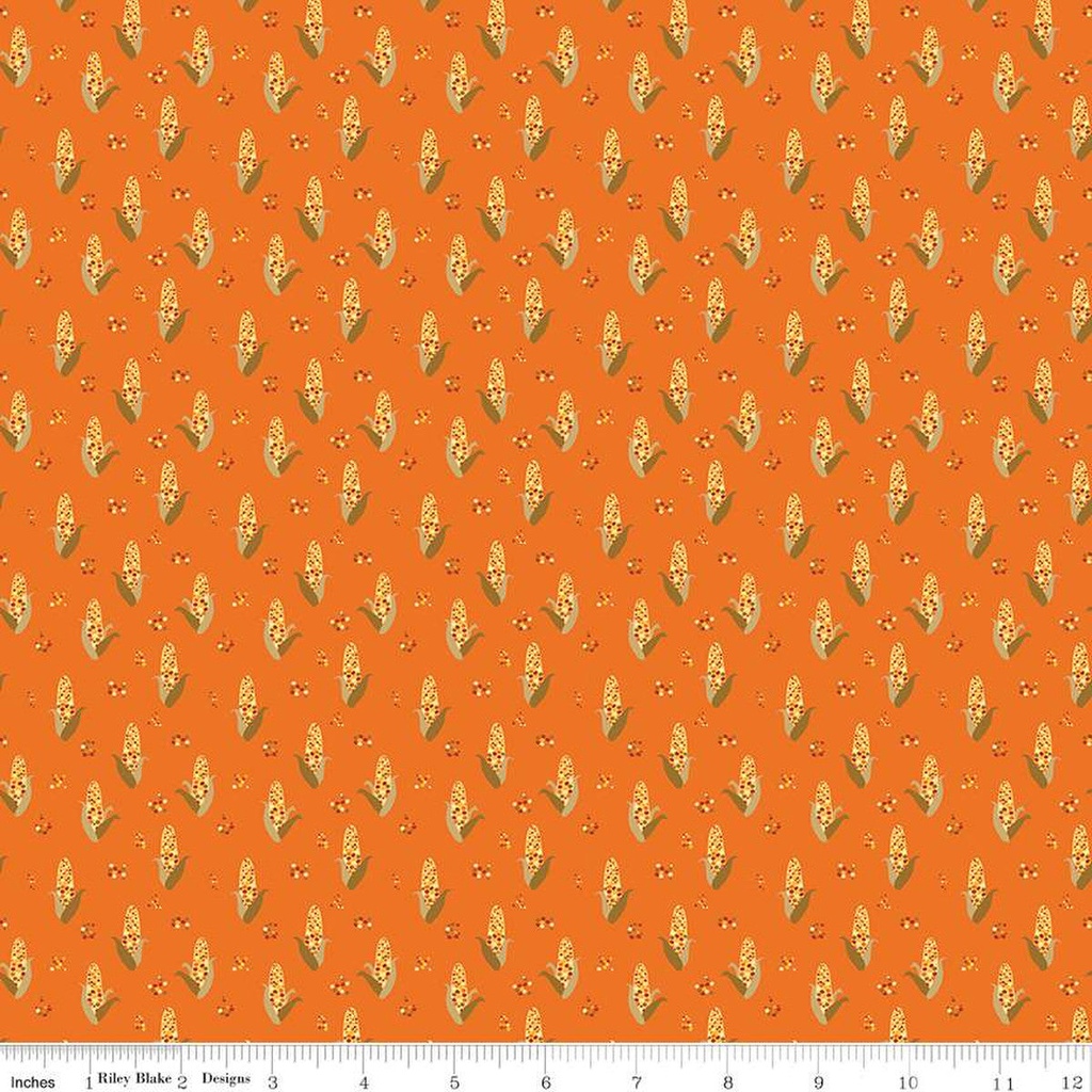 Riley Blake Designs Fall's in Town C13514 Orange