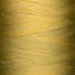 Superior Threads King Tut 40 wt Cotton Thread 500 yds 121-01-984 Pyramids