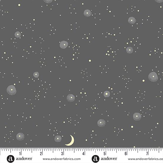 Andover Fabrics Nevermore 1078 C