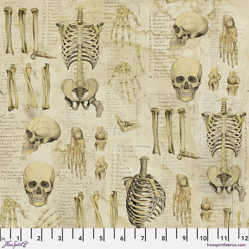 Laboratory Anatomy PWTH181.Neutral