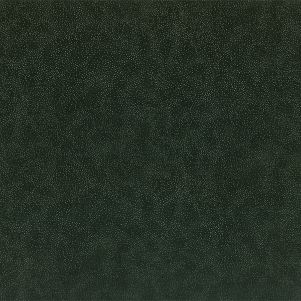 Brilliant Blender G8555 166S Evergreen/Silver