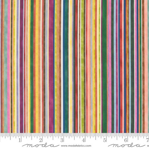 Floribunda 39811 11 Rainbow