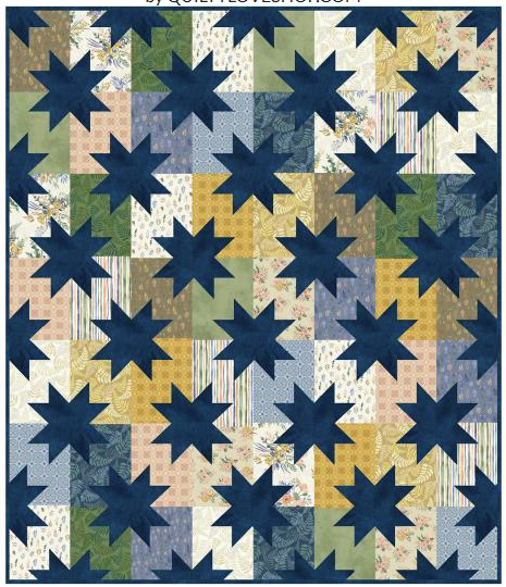 Star Pop Flower Shop Quilt Kit