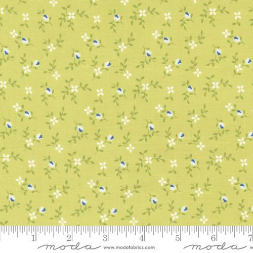 Cali Co 29192 38 Light Lime