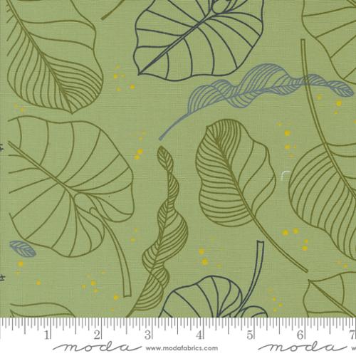 Olive You 1880 18 Sage