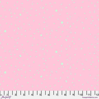 Space Sprinkles PWTP254.Piglet