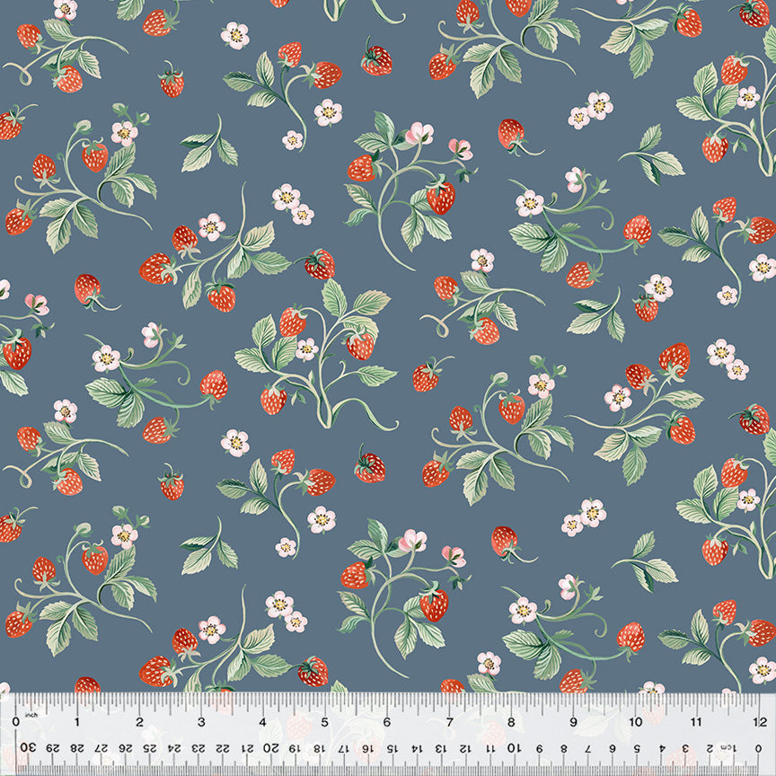 Windham Fabrics Robin 53842 7