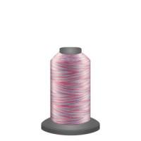 Fil-Tec Affinity 40 wt Variegated Polyester Thread 1000 Yds 60455 Baby Shower