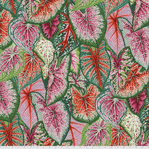 FreeSpirit Fabrics August 2021 by Philip Jacobs Caladiums PWPJ108.Bright