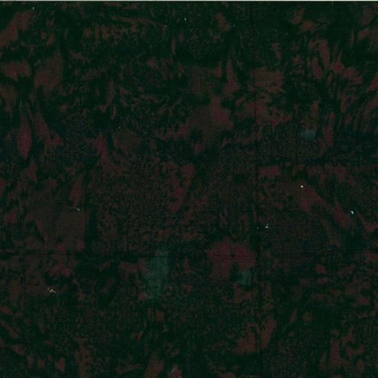 1895 Watercolors Batik 1895-696 Bear