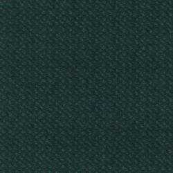 Maywood Studios Woolies Flannel MASF18505 BG