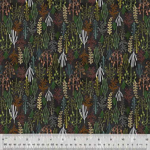 Windham Fabrics Age of the Dinosaurs Digital Print by Katherine Quinn Prehistoric Plants 53556D 1 Black