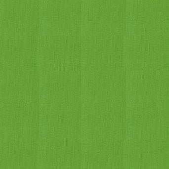 Moda Fabrics Bella Solids 9900 76 Kelly