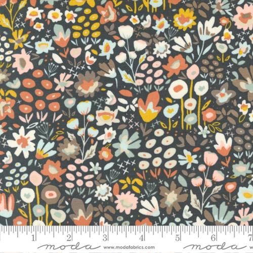 Moda Fabrics Dawn on the Prairie 45572 19