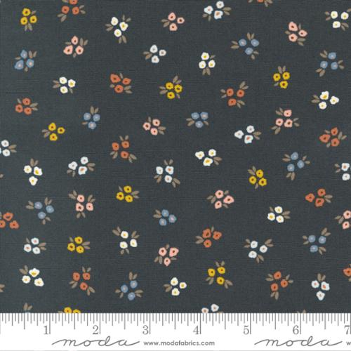 Moda Fabrics Dawn on the Prairie 45573 19