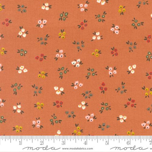 Moda Fabrics Dawn on the Prairie 45573 23