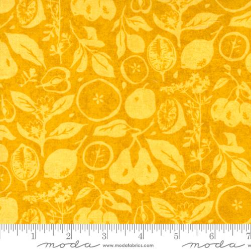 Moda Fabrics Fruit Loop 30732 16