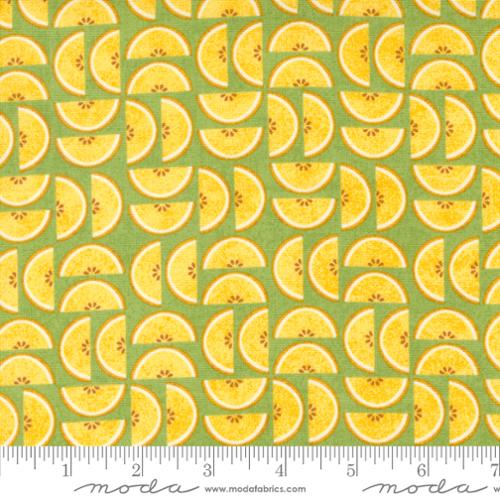 Moda Fabrics Fruit Loop 30734 15