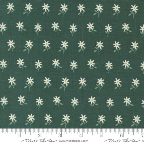 Moda Fabrics Imaginary Flowers 48384 16