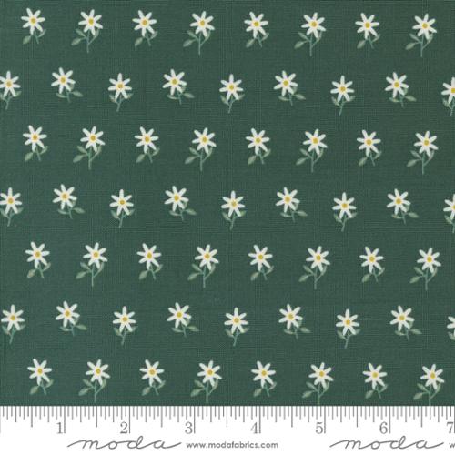 Moda Fabrics Imaginary Flowers 48384 16