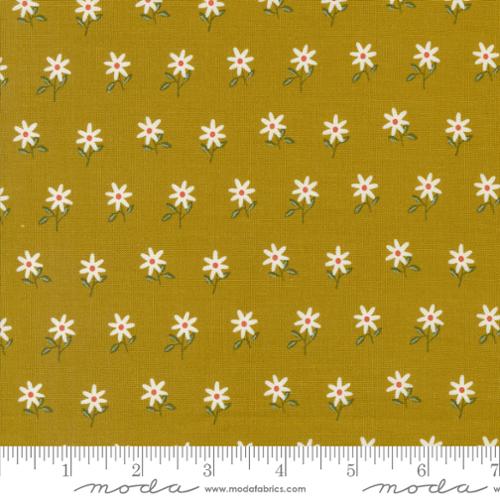 Moda Fabrics Imaginary Flowers 48384 17