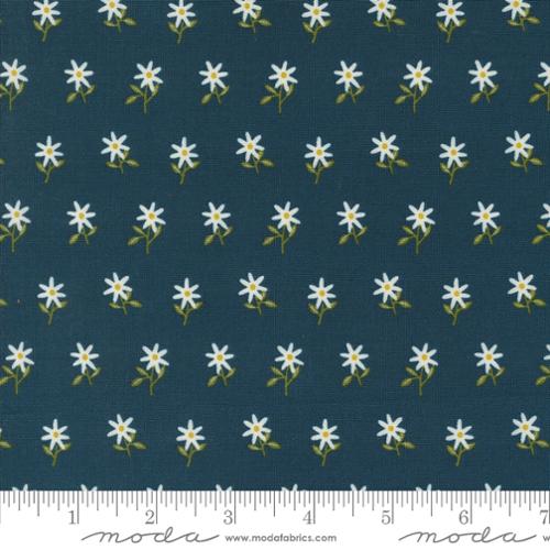 Moda Fabrics Imaginary Flowers 48384 20