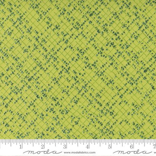 Moda Fabrics Wild Blossoms by Robin Pickens Blotted Graph Paper 48737 13 Sunlit