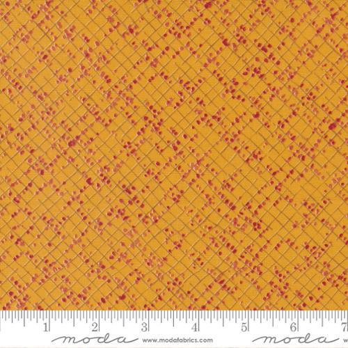 Moda Fabrics Wild Blossoms by Robin Pickens Blotted Graph Paper 48737 17 Honeycomb