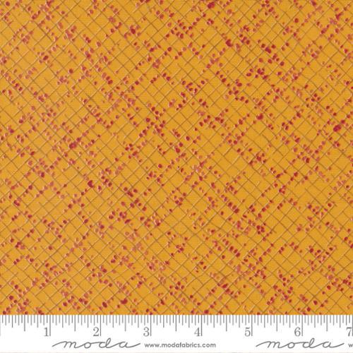 Moda Fabrics Wild Blossoms by Robin Pickens Blotted Graph Paper 48737 17 Honeycomb