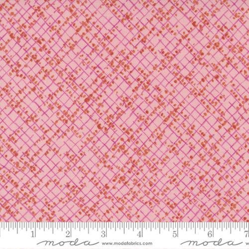 Moda Fabrics Wild Blossoms by Robin Pickens Blotted Graph Paper 48737 21 Princess