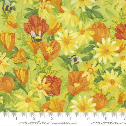 Moda Fabrics Wild Blossoms by Robin Pickens Daisies and Poppies 48731 13 Sunlit