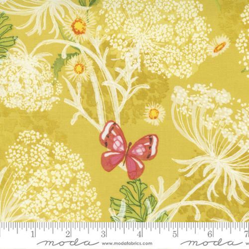 Moda Fabrics Wild Blossoms by Robin Pickens Queen Annes Lace 48733 12 Maize