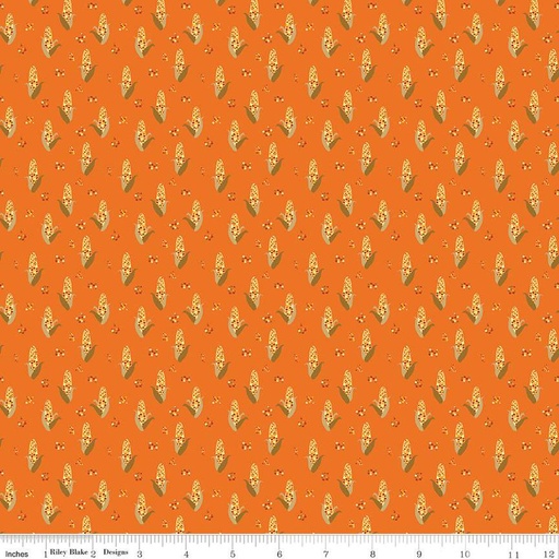 [168195] Riley Blake Designs Fall's in Town C13514 Orange