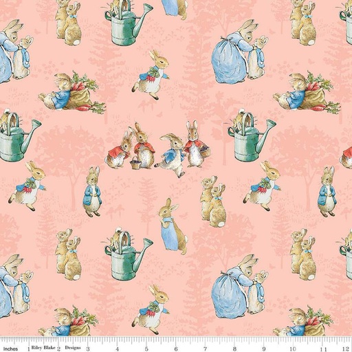 [171004] The Tale of Peter Rabbit C14700 Coral