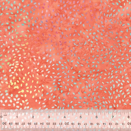 [171950] QE7 Splendor 443Q-1 Coral