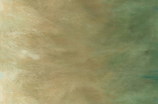 [172109] SKY AJSD-22678-488 Sandstone