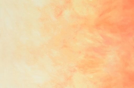 [172115] SKY AJSD-22672-376 Shell