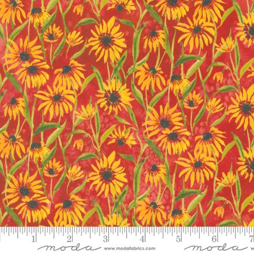 [172316] Floribunda 39805 14 Spice