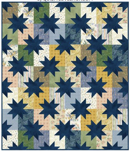 [172714] Star Pop Flower Shop Quilt Kit