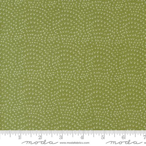 [173025] Woodland Wonder 48396 19 Fern