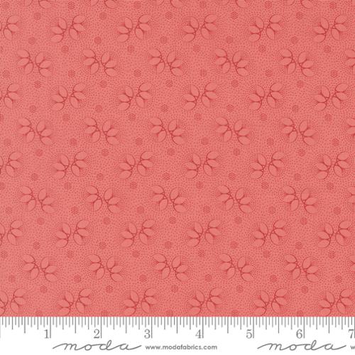 [173997] Collections Unity 46267 20 Rose