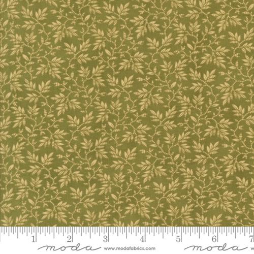 [173998] Collections Unity 46268 35 Fern