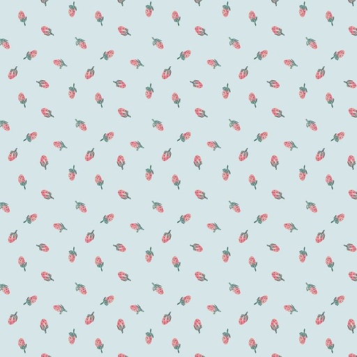 [174418] Strawberry Jam Stella-DCJ3070 Pool