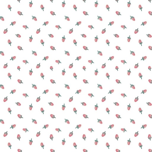 [174419] Strawberry Jam Stella-DCJ3070 White