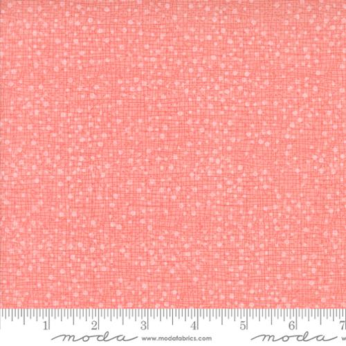 [174624] Superbloom 48715 225 Carnation